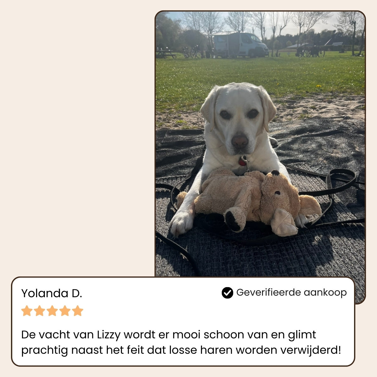 HappyFur™ | Professionele vachtverzorging zonder losse haren in huis